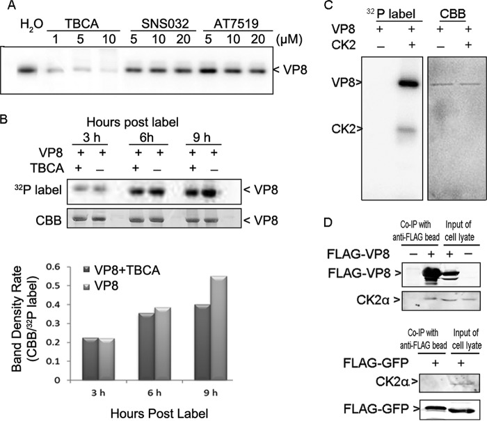 FIG 3