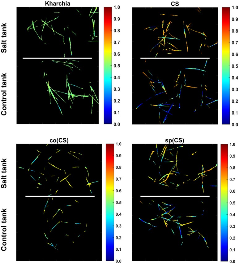 Figure 11