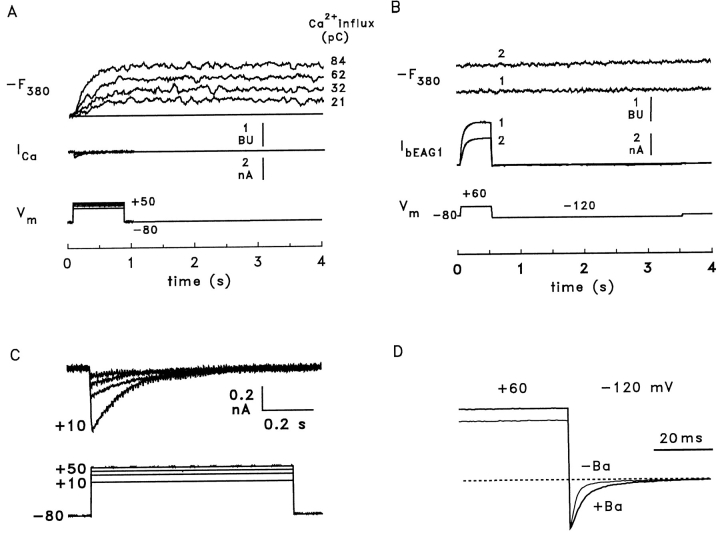 Figure 8