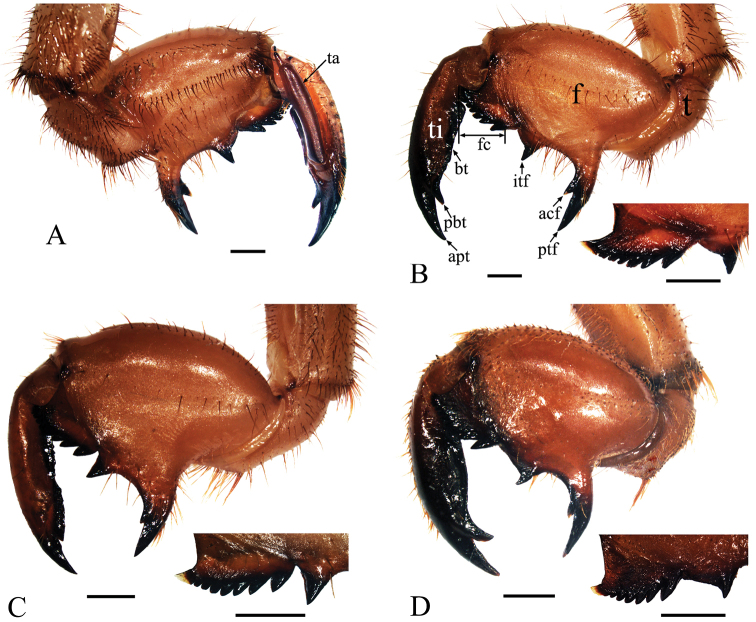 Figure 5.