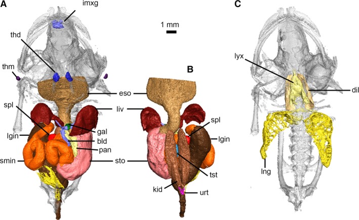 Figure 12