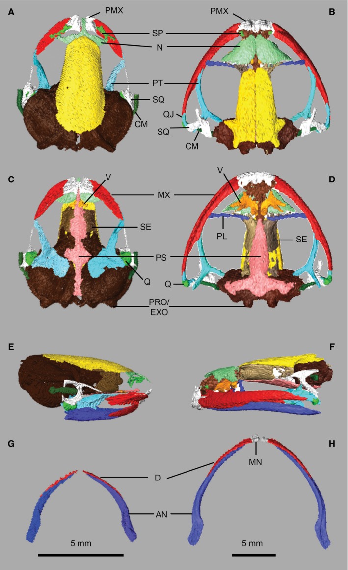 Figure 2