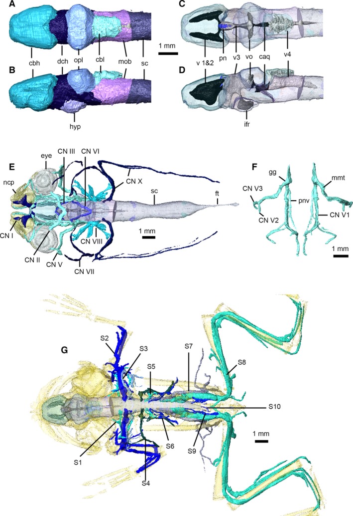 Figure 11