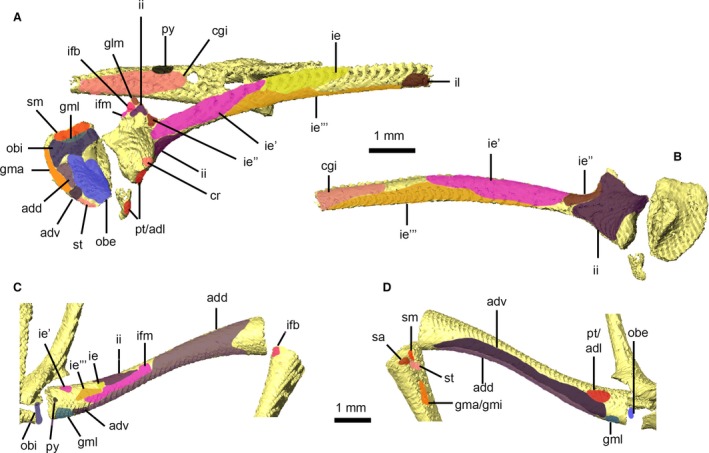 Figure 9