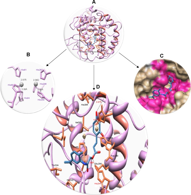 Figure 10