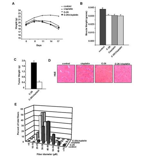 Fig 1.