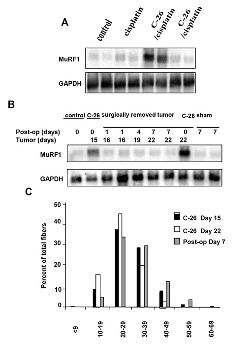 Fig 2.