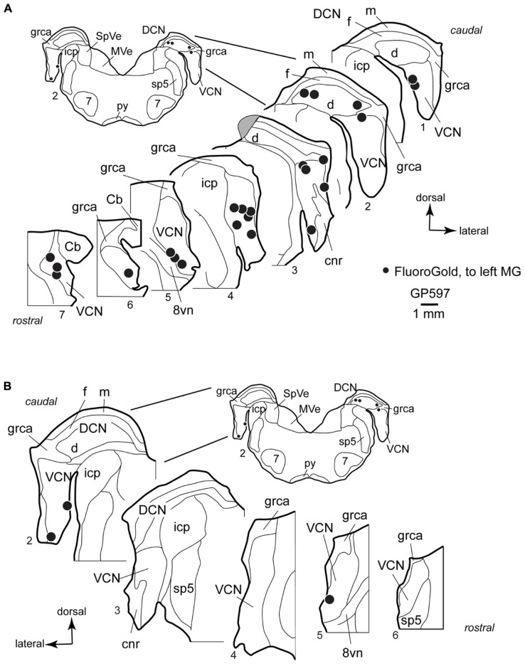 FIGURE 3