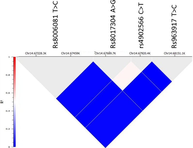 Fig. 2