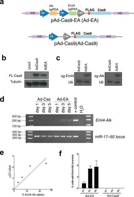 Extended Data Figure 4