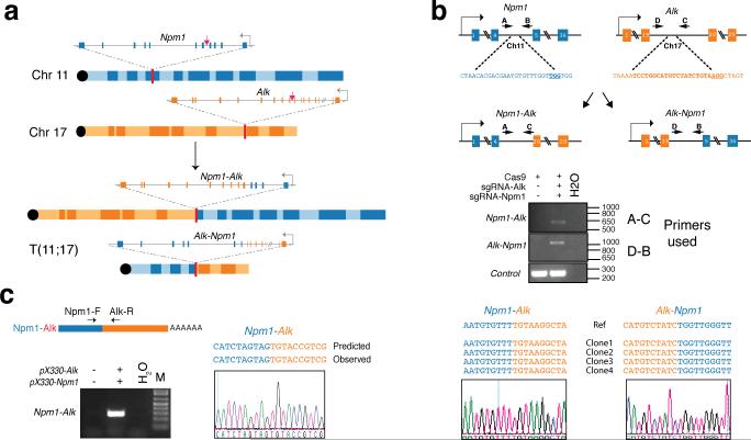 Extended Data Figure 2