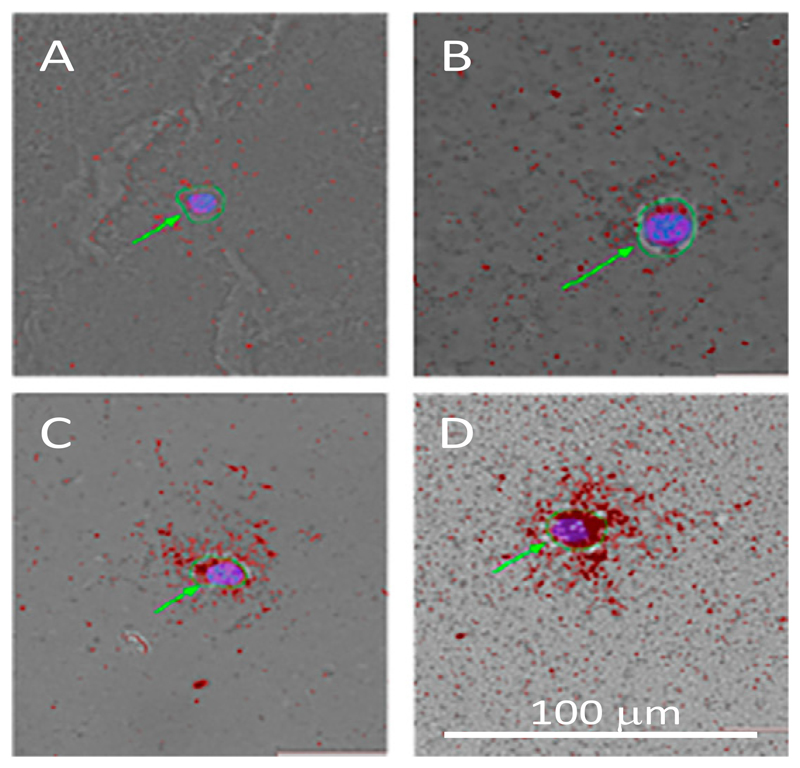 Fig. 4