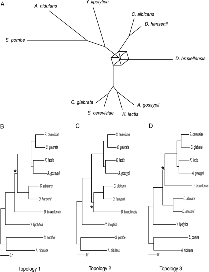 FIG. 1.