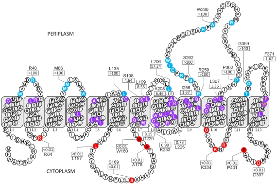 FIG 3 