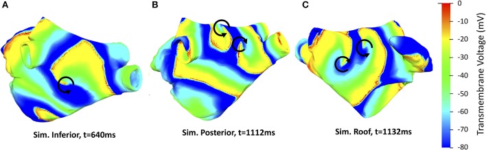 Figure 5