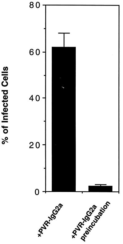 FIG. 8