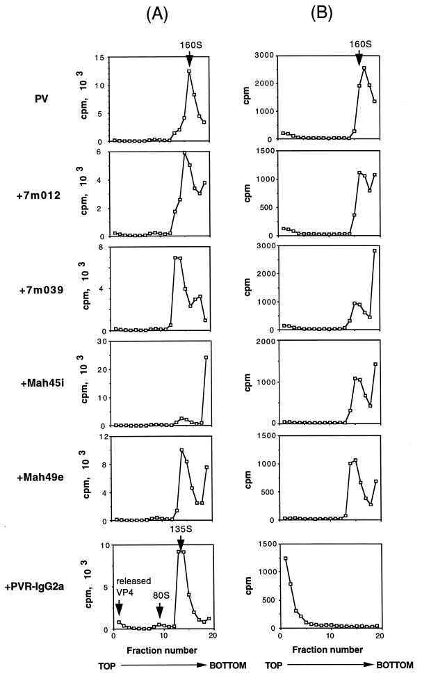 FIG. 7