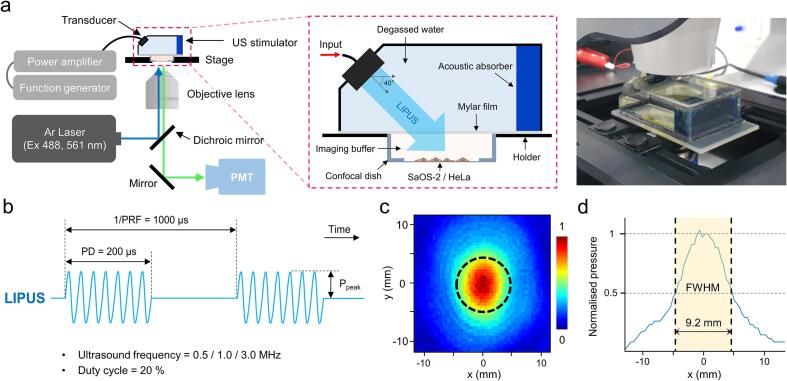 Fig. 1