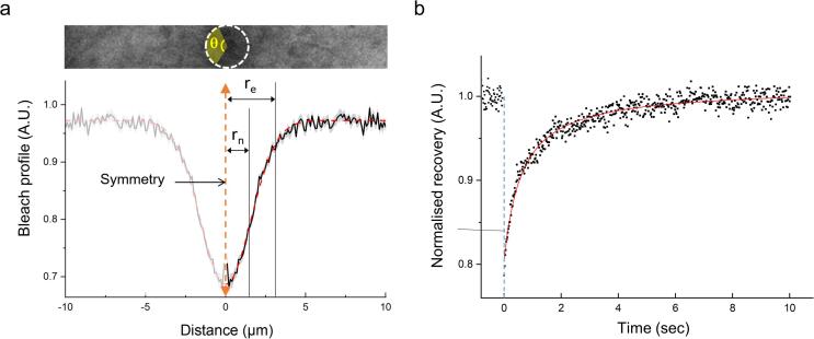 Supplementary Fig. 1