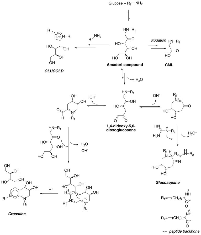 Scheme 1