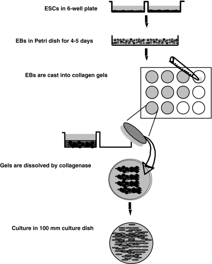 Figure 9.