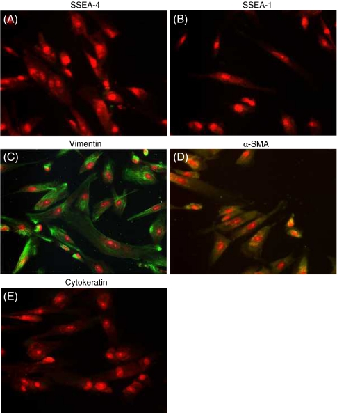 Figure 3.