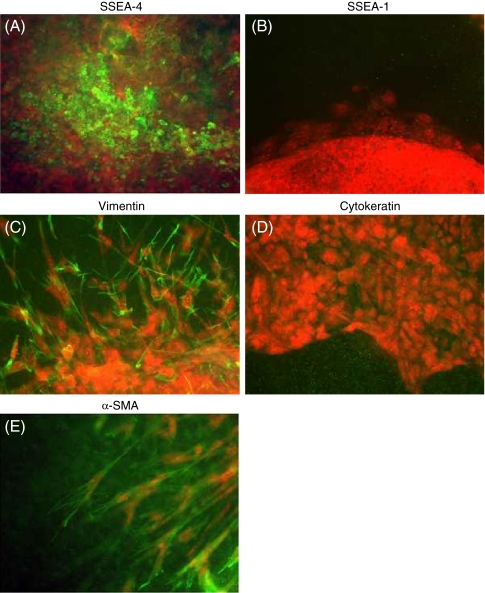 Figure 2.