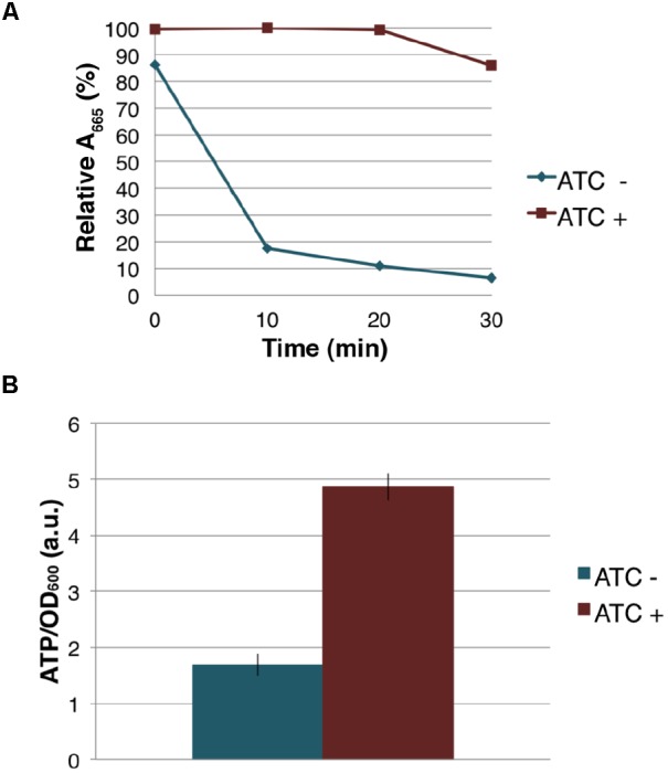 FIGURE 7