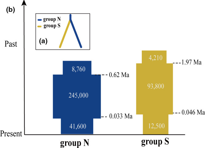 FIGURE 3