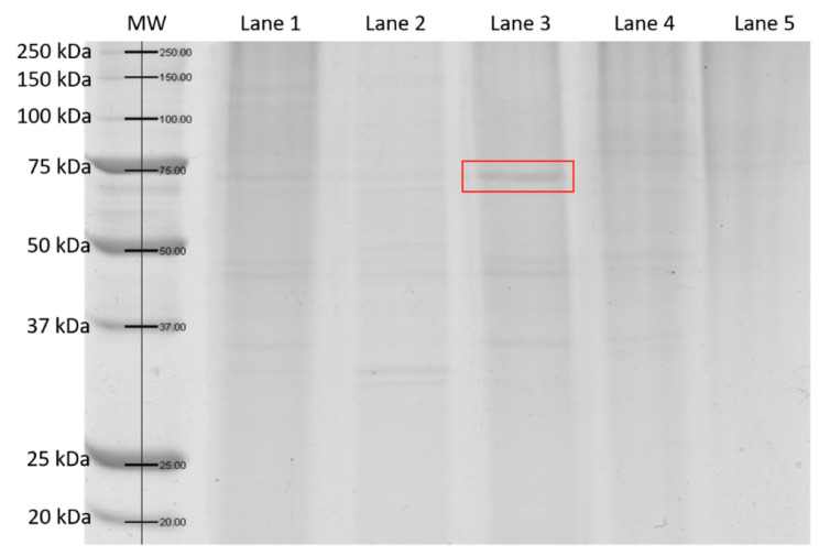 Figure 9