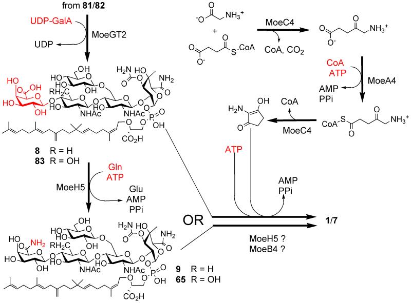 Fig. 8