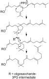 Scheme 4