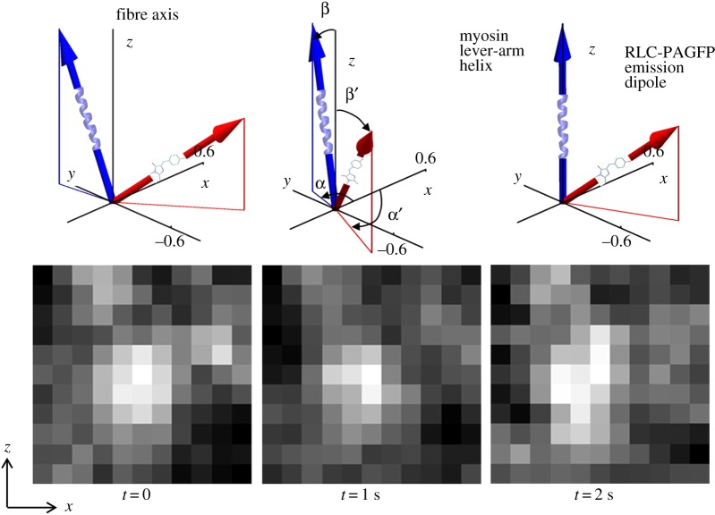 Figure 2.