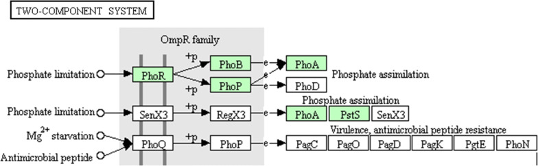 Fig. 4