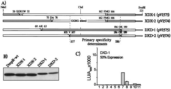 FIG. 6