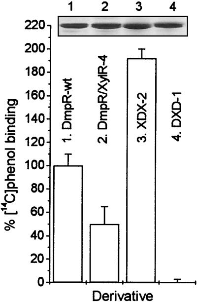 FIG. 5