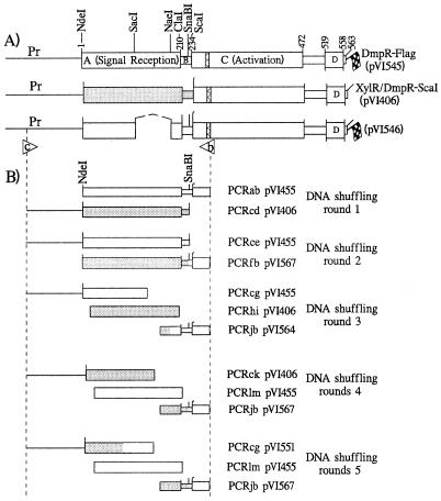 FIG. 1