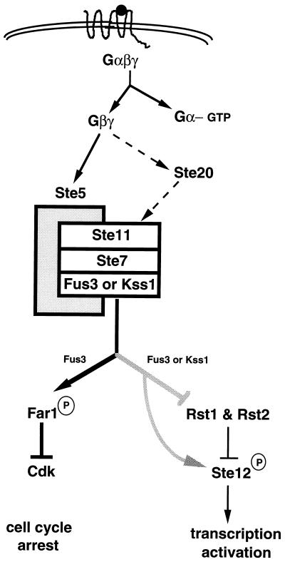 FIG. 9