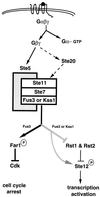 FIG. 9