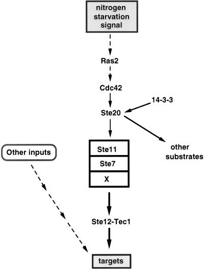 FIG. 12