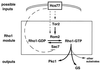 FIG. 8