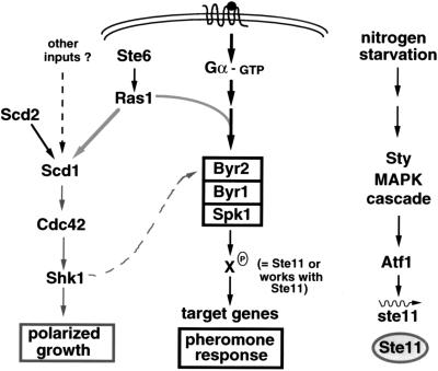 FIG. 10