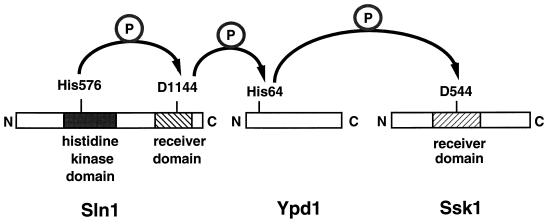 FIG. 4