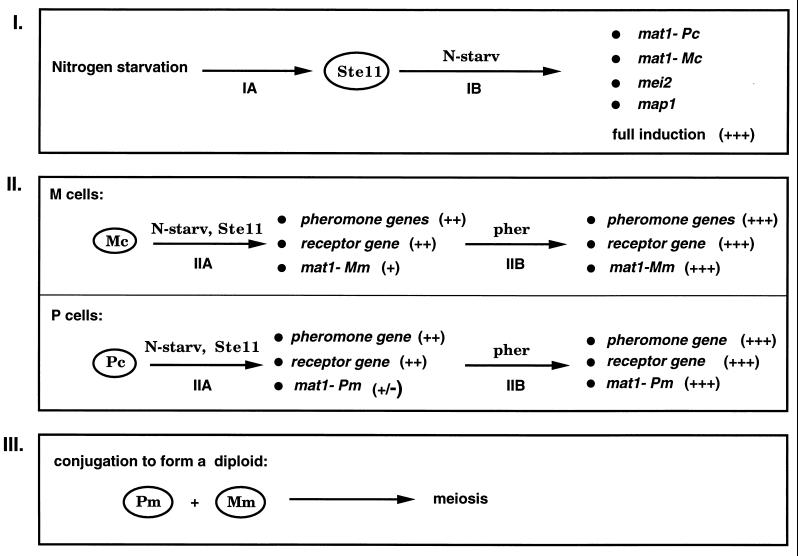 FIG. 11