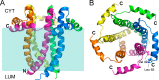 FIGURE 10.