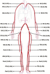 Fig. 2