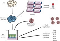 graphic file with name stem3422-toc-0001.jpg