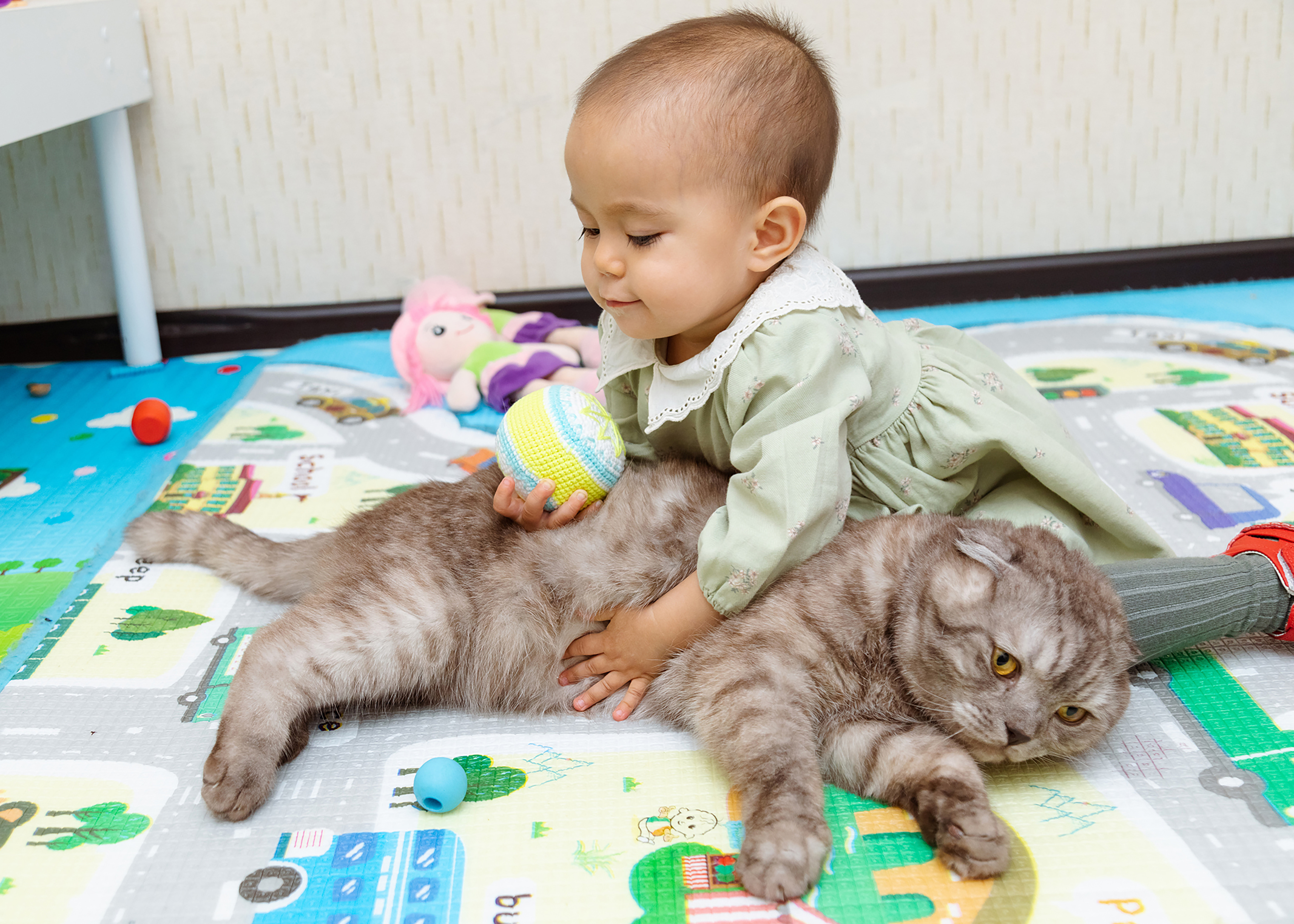Toddler wearing a dress and holding a small ball climbs over cat on floor with its ears laid back against its head