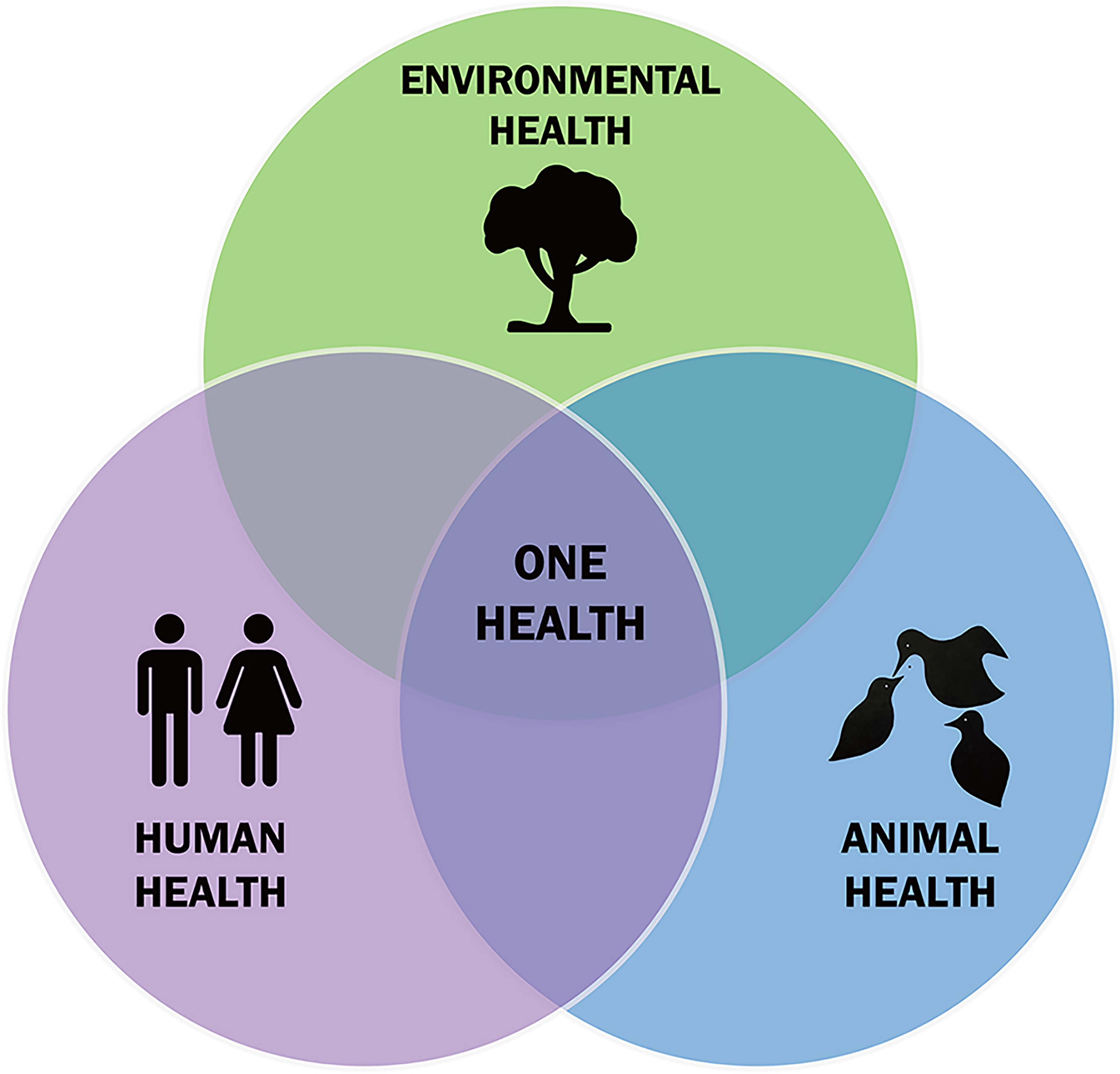Venn diagram with One Health at the intersection of three circles labeled Environmental Health, Animal Health, and Human Health