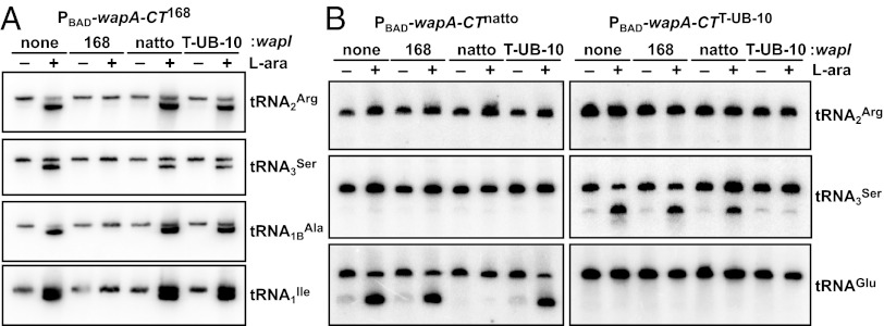 Fig. 5.